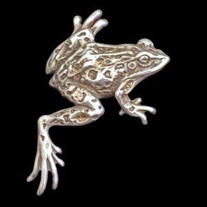 🆕 VINTAGE Sterling Silver Tree Frog Pin by Shube's | Signed 925 Brooch